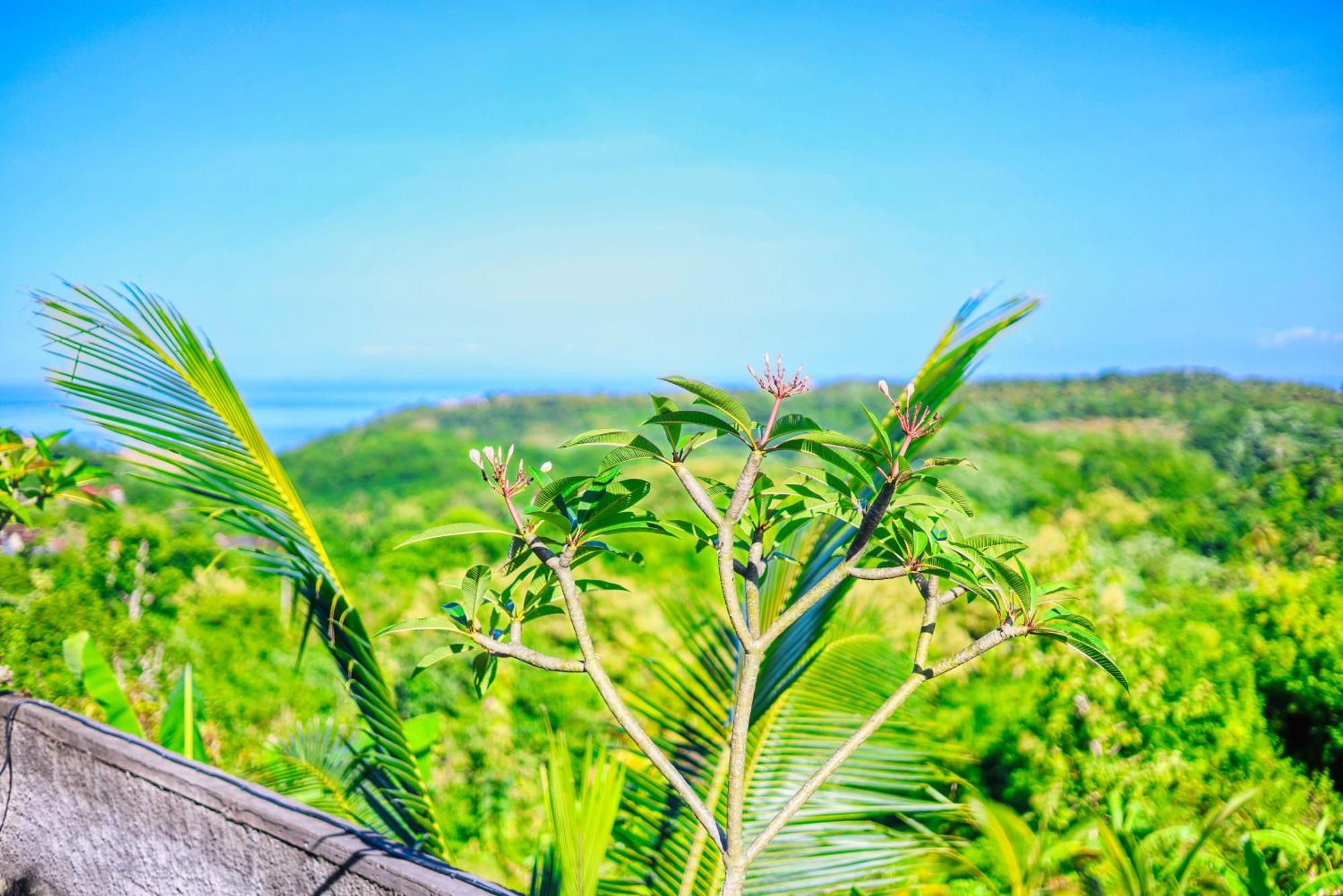 D Sebuluh Bungalow Batumadeg Ngoại thất bức ảnh